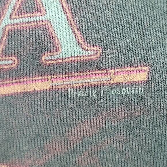 Vintage Alaska Ketchikan Totem Sweatshirt 2XL 26x26 Boxy USA - Picture 14 of 16